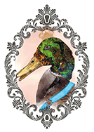 Wendelins Kaffe Royal – logotyp